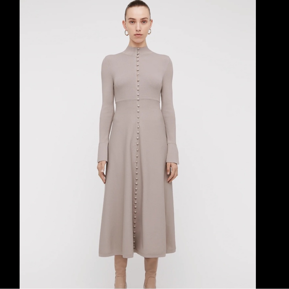 Scanlan Theodore Taupe Long Sleeve Dress